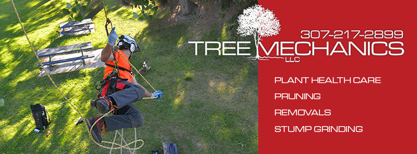 tree service - facebook cover graphic
