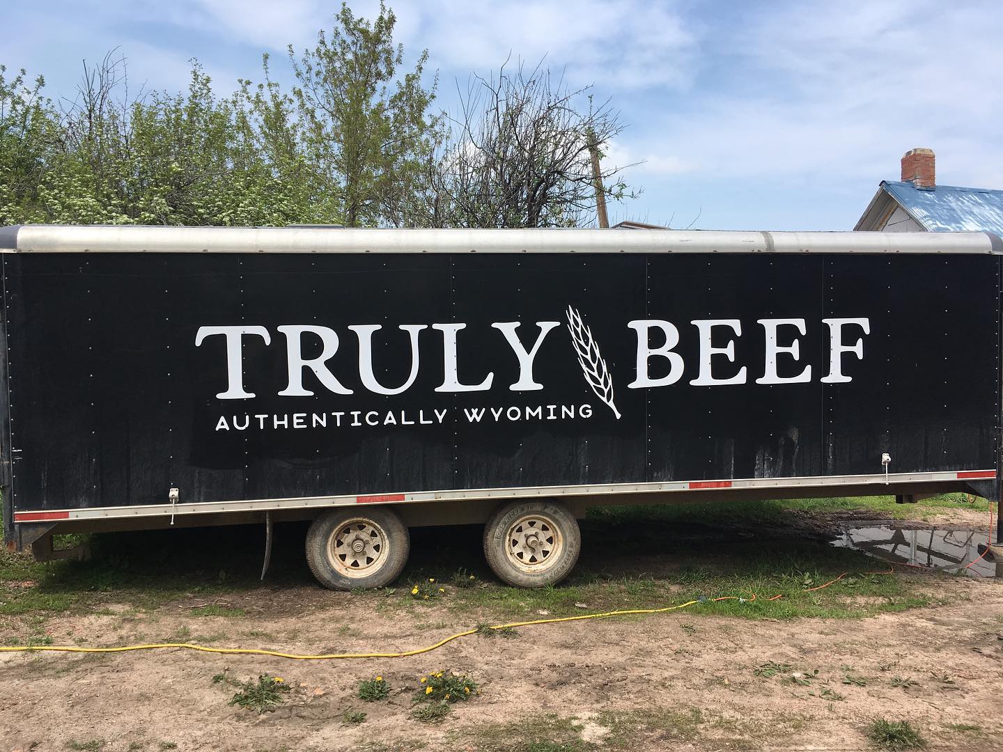 Truly Beef logo design