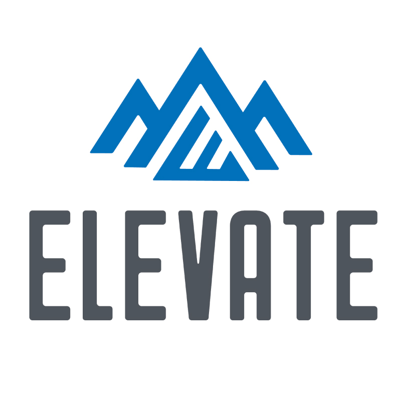 Elevate Asset Management branding, logo web design