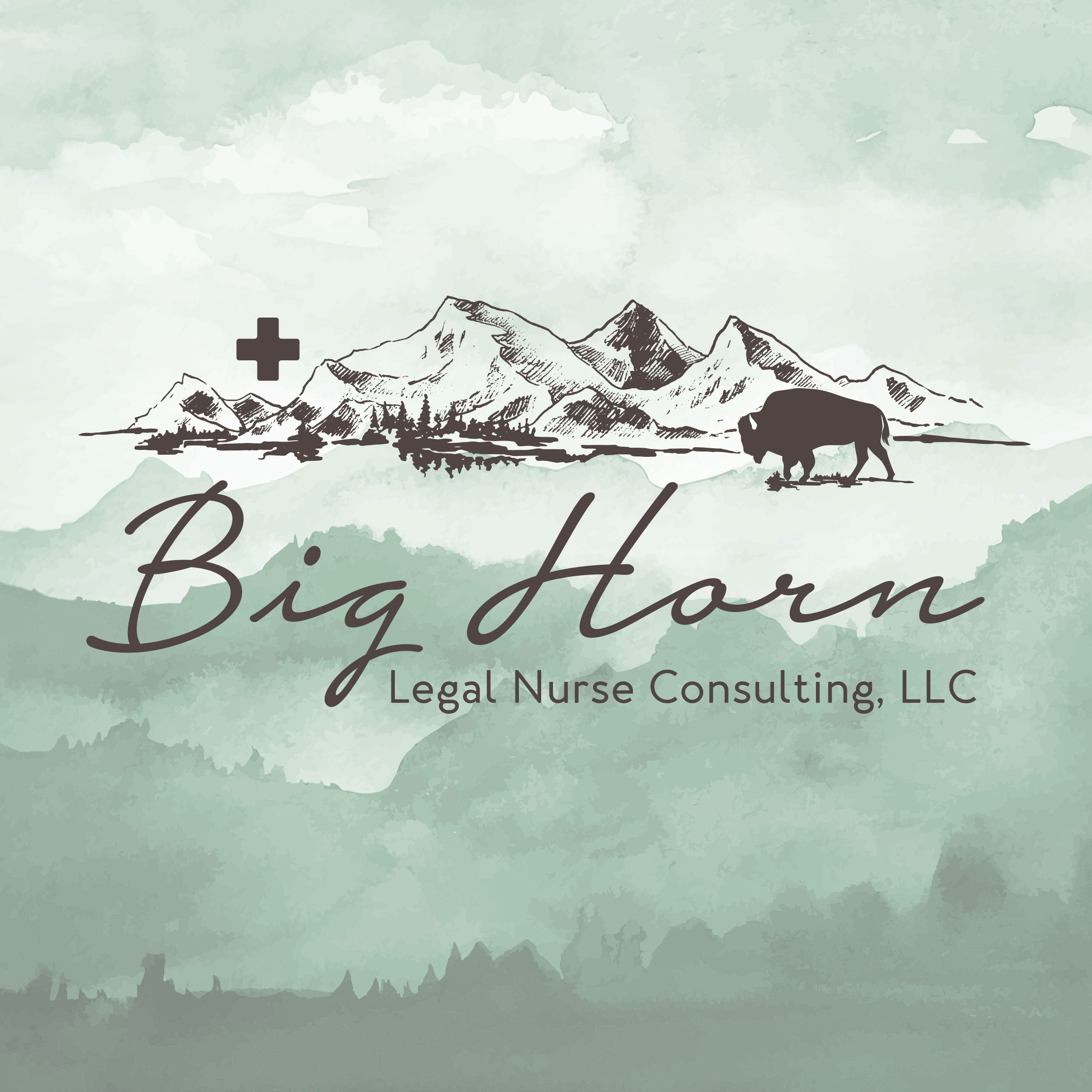 Big Horn Legal Nurse Consulting branding design