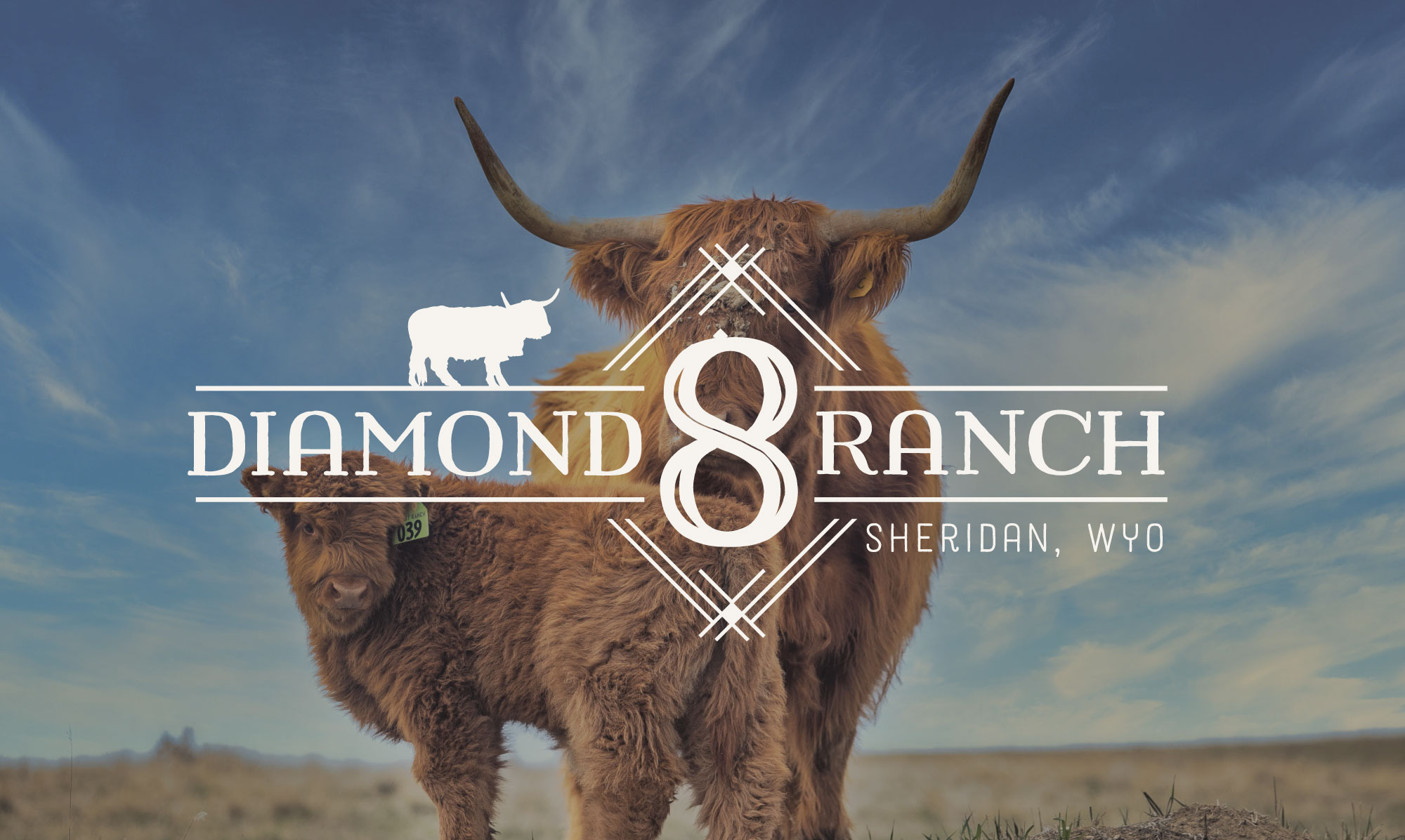 ranch logo design and branding